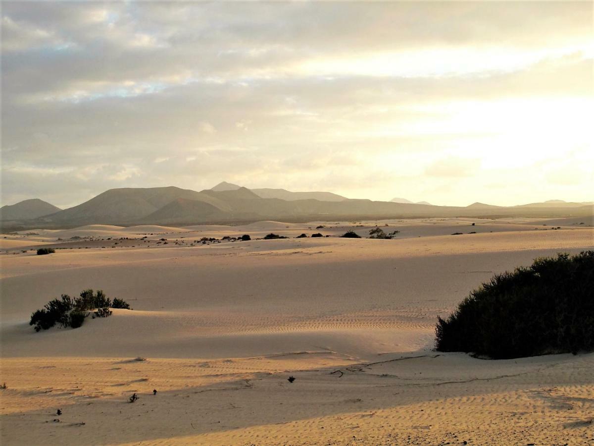 Apartment Gardenia, Oasis Tamarindo Corralejo Dış mekan fotoğraf