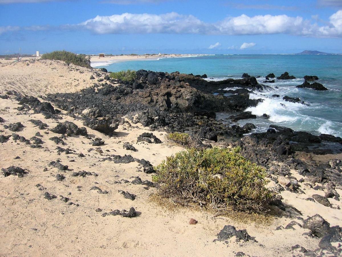 Apartment Gardenia, Oasis Tamarindo Corralejo Dış mekan fotoğraf